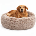 Dog lying on a fluffy donut bed with a white background